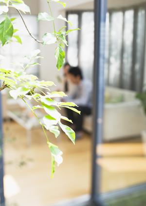 網戸で夏を快適に電気代も節約可能